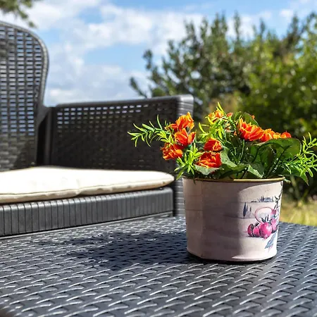 Alba コスタ・パラディーゾ