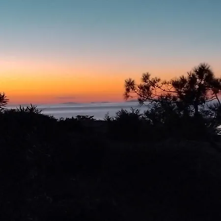 Alba
