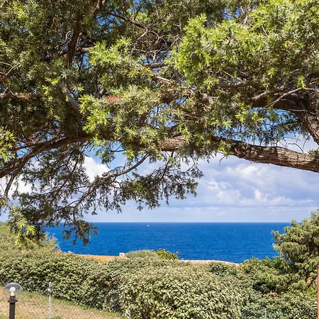 Alba * Costa Paradiso